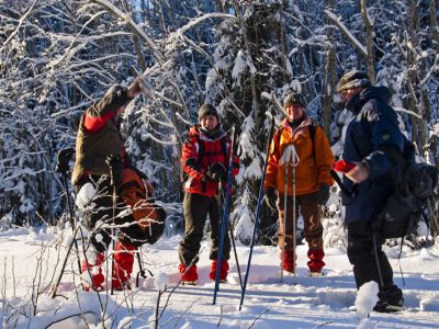 Gruppenreise organisiert Schweden Winter