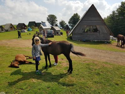 reiten montenegro zabljak durmitor 