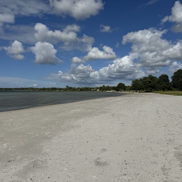 Familienurlaub auf dem Bauernhof auf land - Schweden