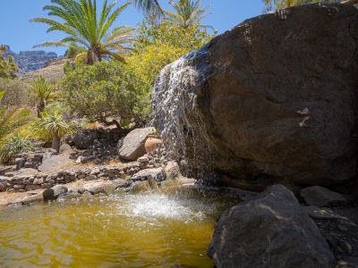 Bäume-Schattiger Platz-Garten-Gran Canaria Ökohotel