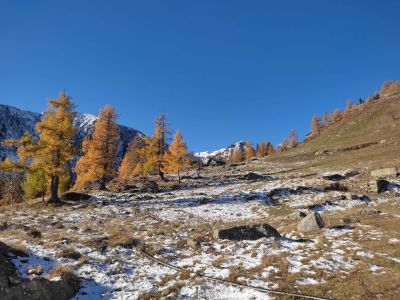 sommerurlaub alpen wandern ayas tal