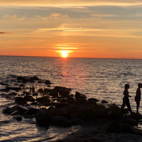 Familienurlaub auf dem Bauernhof auf land - Schweden