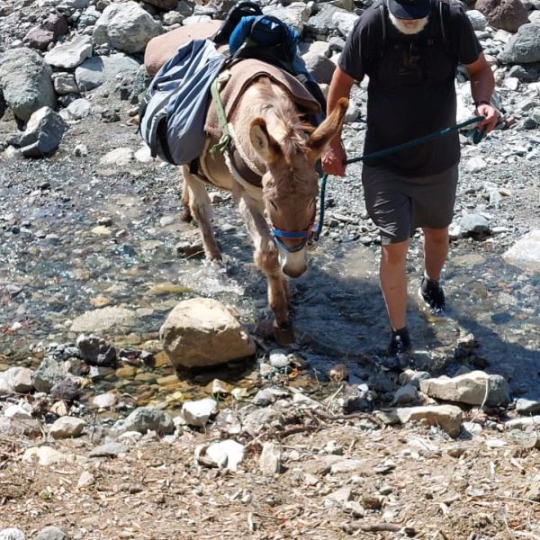 Eselwandern in der Toskana - Val di Cecina - Italien