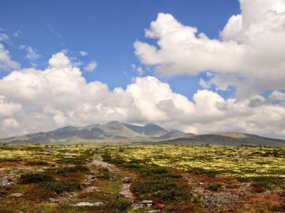 Im Rondane Nationalpark beim Familienurlaub in Norwegen