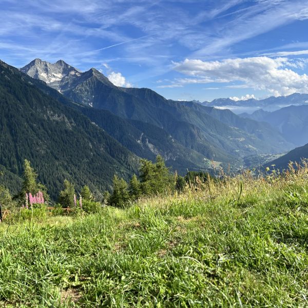 Genusswandern ohne Gepck in den Bergen des Val dAyas - Aostatal