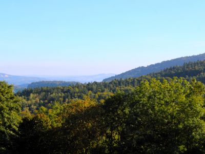 Wandern im bayerischen Wald mit Eseln Familie