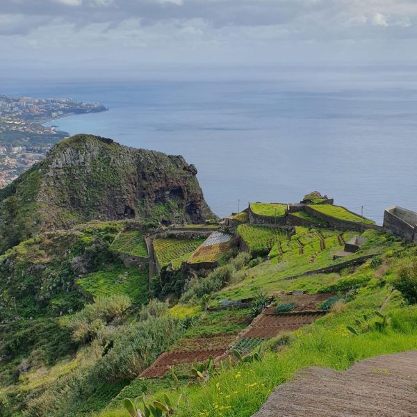 Rund um die Blumeninsel Madeira - Wanderwoche individuell