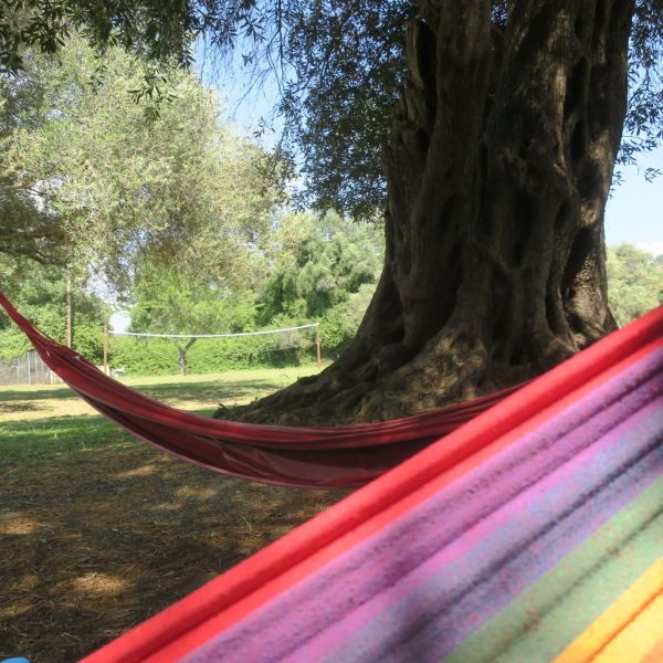 Im Honigtal auf Korfu - Familienurlaub Griechenland