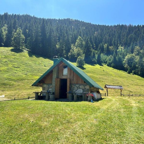 Wandern ohne Gepck in Montenegro: von Alm zu Alm im Nationalpark Bjelasica/Mokra Gebirge 