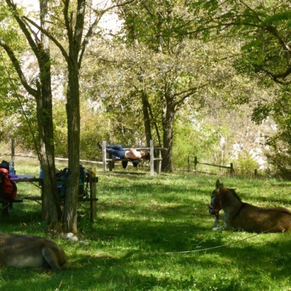 Eselwandern in den Abruzzen: Trekking-Abenteuer in Italien