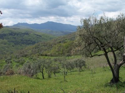 Sommerferien im Cilento,