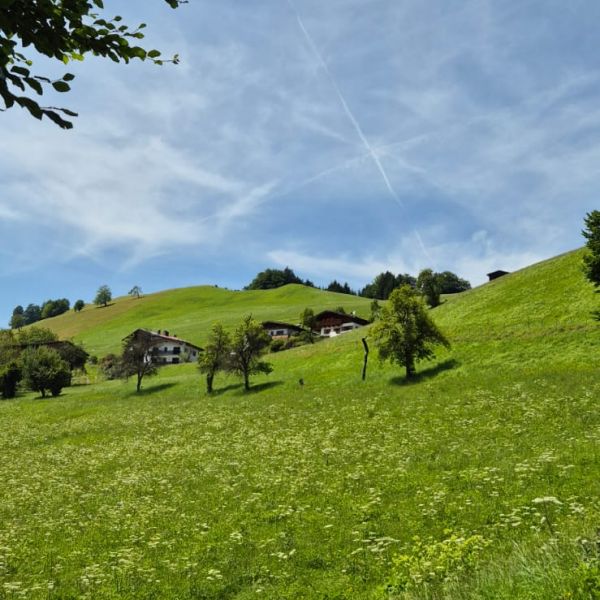 Bio-Urlaub im Thierseetal - Tirol - sterreich