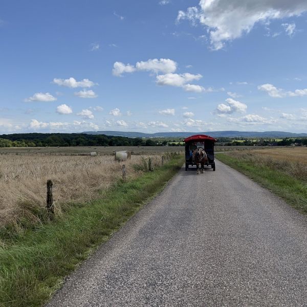 Planwagen-Urlaub in den Vogesen - Frankreich