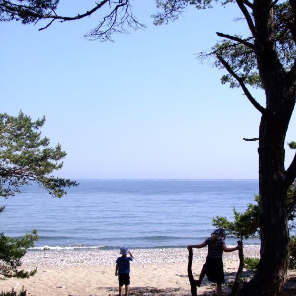 Familienurlaub auf dem Bauernhof auf land - Schweden