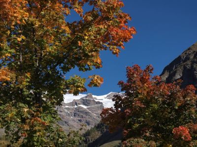 Herbst im Aostatal unterhalb des Monte Rosa Massivs