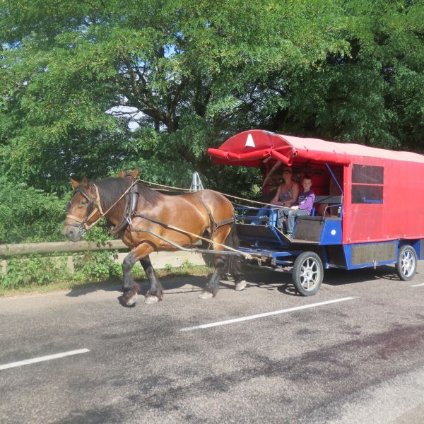 Planwagen-Urlaub in den Vogesen - Frankreich