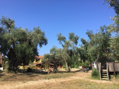 Blick vom Garten zum Restaurant in Agios Georgios Pagi