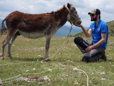 wandern mit esel in italien mann streichelt esel
