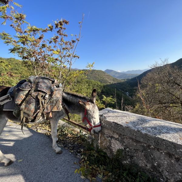 Eselwandern in den Abruzzen - Eselwanderung Italien