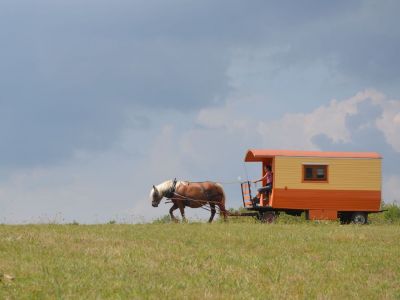 Pferdewagen in den Vogesen Frankreich