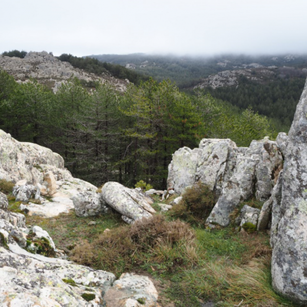 Agriturismo auf Sardinien - Urlaub zwischen Bergen und Meer