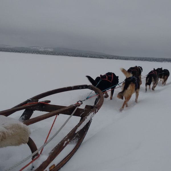 Natur pur: Winterabenteuer im Wildnisdorf - Lappland   