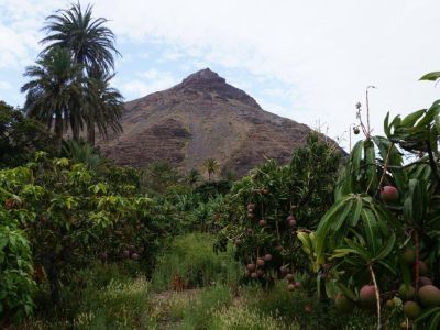 Plantagen Finca El Cabrito