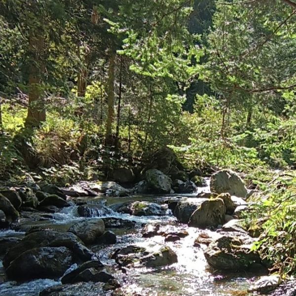 sterreich: Familienurlaub auf dem Bauernhof in Krnten 