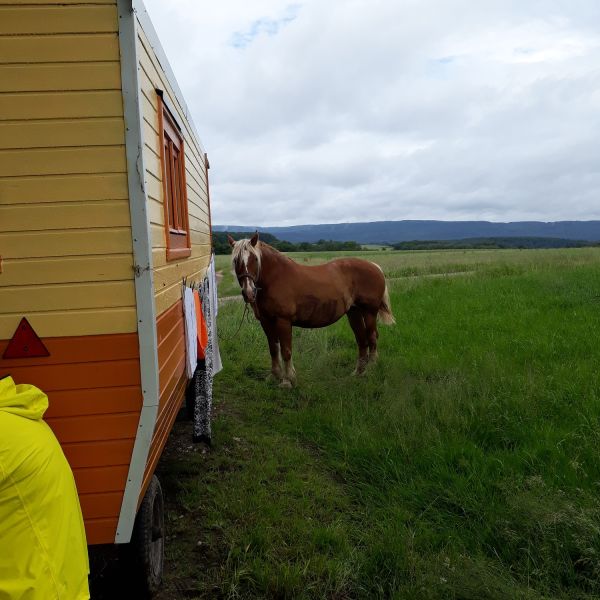 Planwagen-Urlaub in den Vogesen - Frankreich