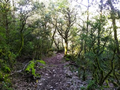 individuell wandern katalanische pyrenen