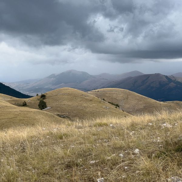 Eselwandern in den Abruzzen - Eselwanderung Italien