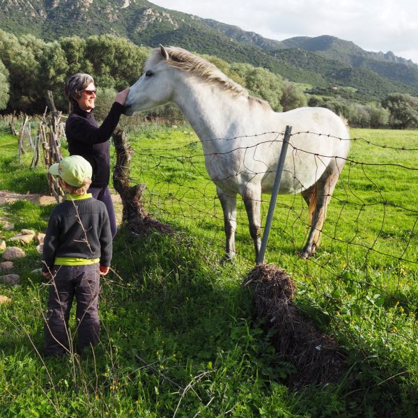 Agriturismo auf Sardinien - Urlaub zwischen Bergen und Meer