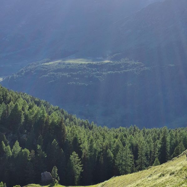 Genusswandern ohne Gep�ck in den Bergen des Val d�Ayas - Aostatal