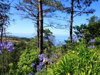 Aktivurlaub auf Madeira