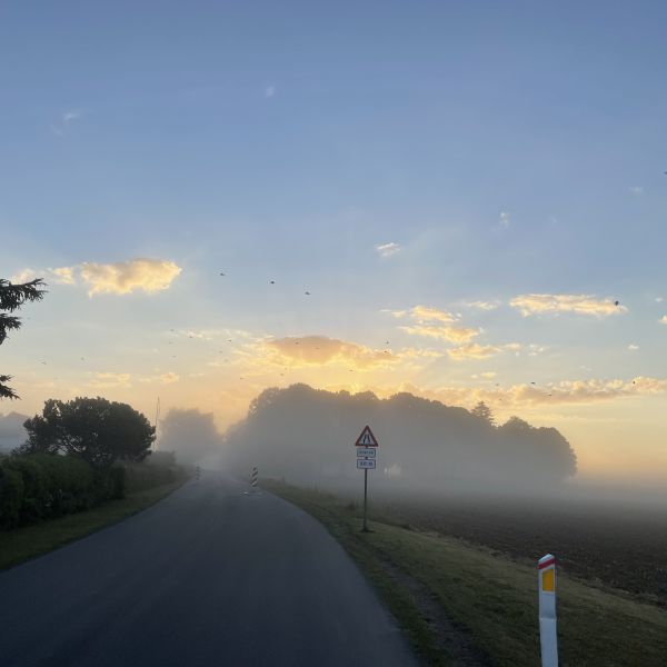 Rdvig  Familienurlaub an der Ostsee - Dnemark