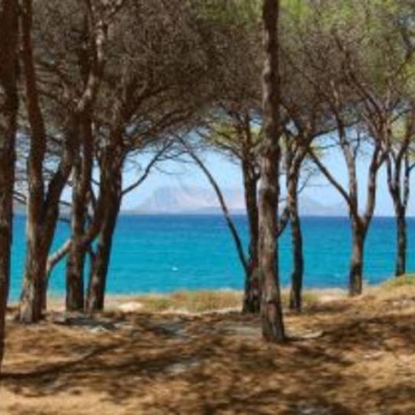 Agriturismo auf Sardinien - Urlaub zwischen Bergen und Meer