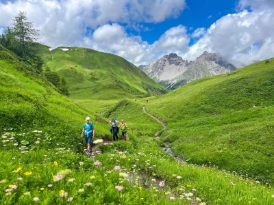 wandern ohne gepaeck imst almwiesen wanderweg