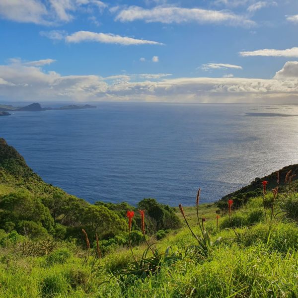 Rund um die Blumeninsel Madeira - Wanderwoche individuell