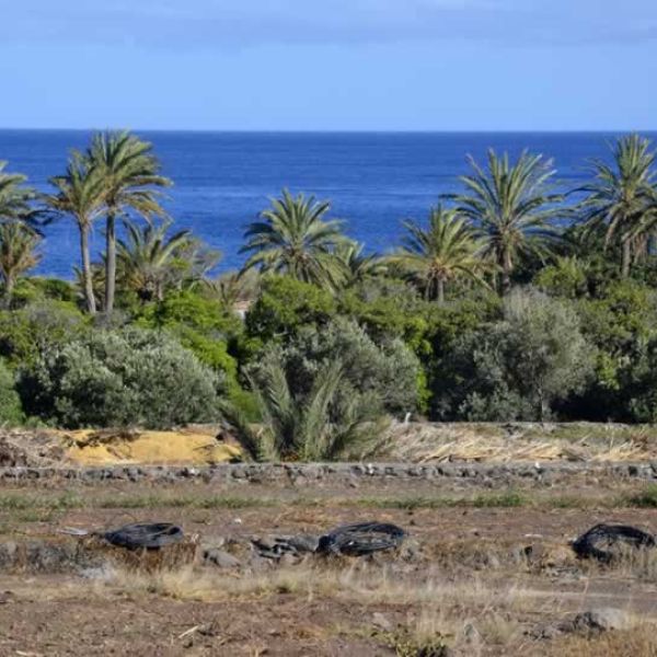 Finca El Cabrito - La Gomera (Kanaren)