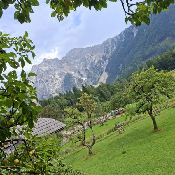 Urlaub auf dem Bio-Bauernhof im Herzen der Steiner Alpen - Slowenien