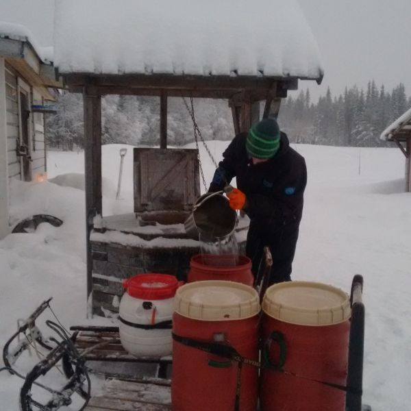 Natur pur: Winterabenteuer im Wildnisdorf - Lappland   