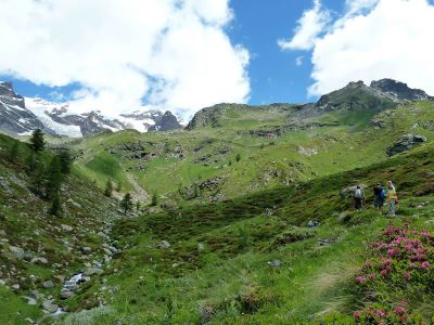 Genusswandern im Aostatal in der Nähe der Lys Quellen
