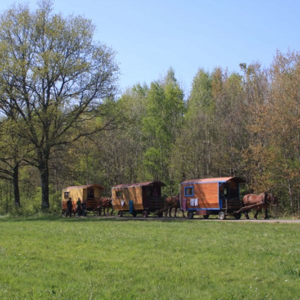 Planwagen-Urlaub in den Vogesen - Frankreich