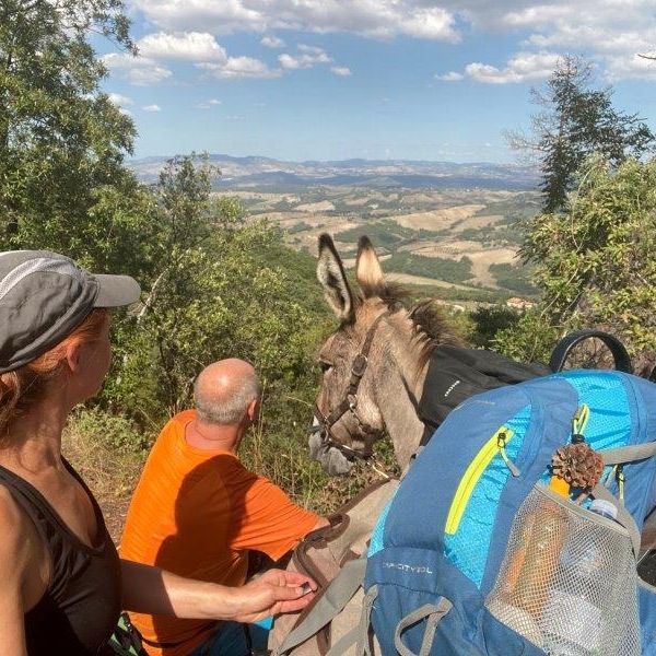 Eselwandern in der Toskana - Val di Cecina - Italien