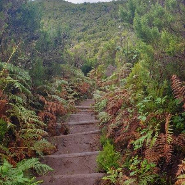 Rund um die Blumeninsel Madeira - Wanderwoche individuell