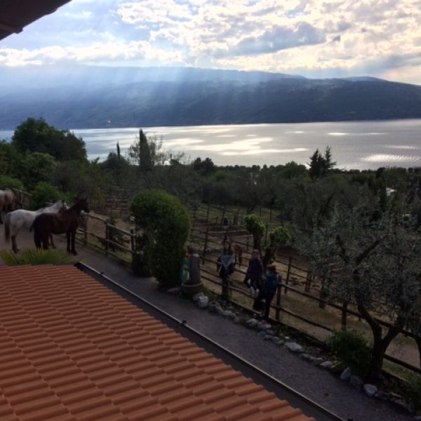 Gardasee: Urlaub auf dem Reiterhof - Italien