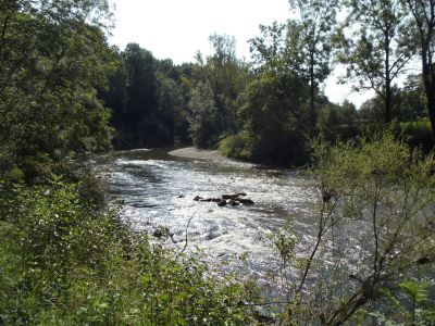 wandern knig ludwig weg ammer