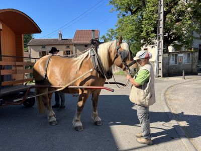 Betreiberin Vogesen Planwagenferien