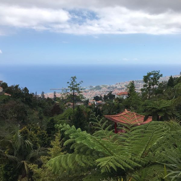 Rund um die Blumeninsel Madeira - Wanderwoche individuell