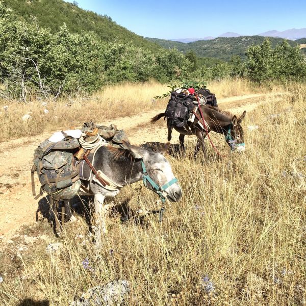 Eselwandern in den Abruzzen: Trekking-Abenteuer in Italien